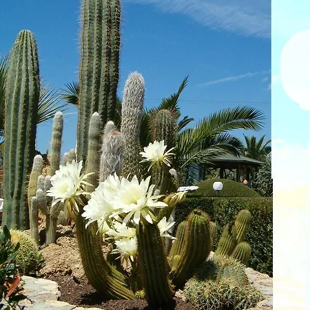 Cala Dei Peducelli Ξενοδοχείο με διαμερίσματα