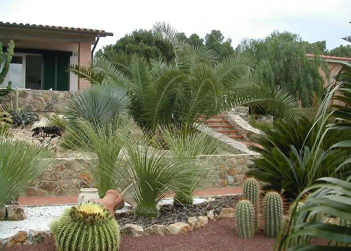 Cala Dei Peducelli 4* カポリーヴェリ