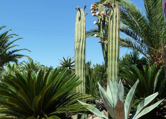 Cala Dei Peducelli Capoliveri (Isola d'Elba)